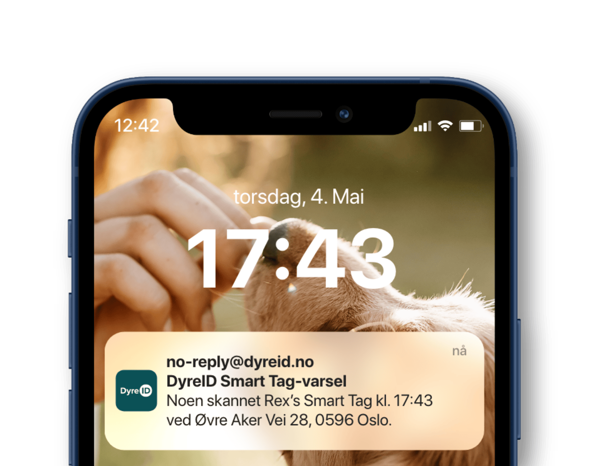 findmy-notifcation-new