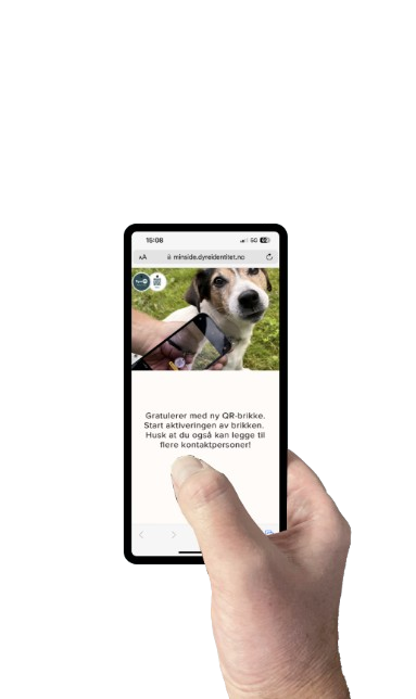 3. Følg instruksjonen