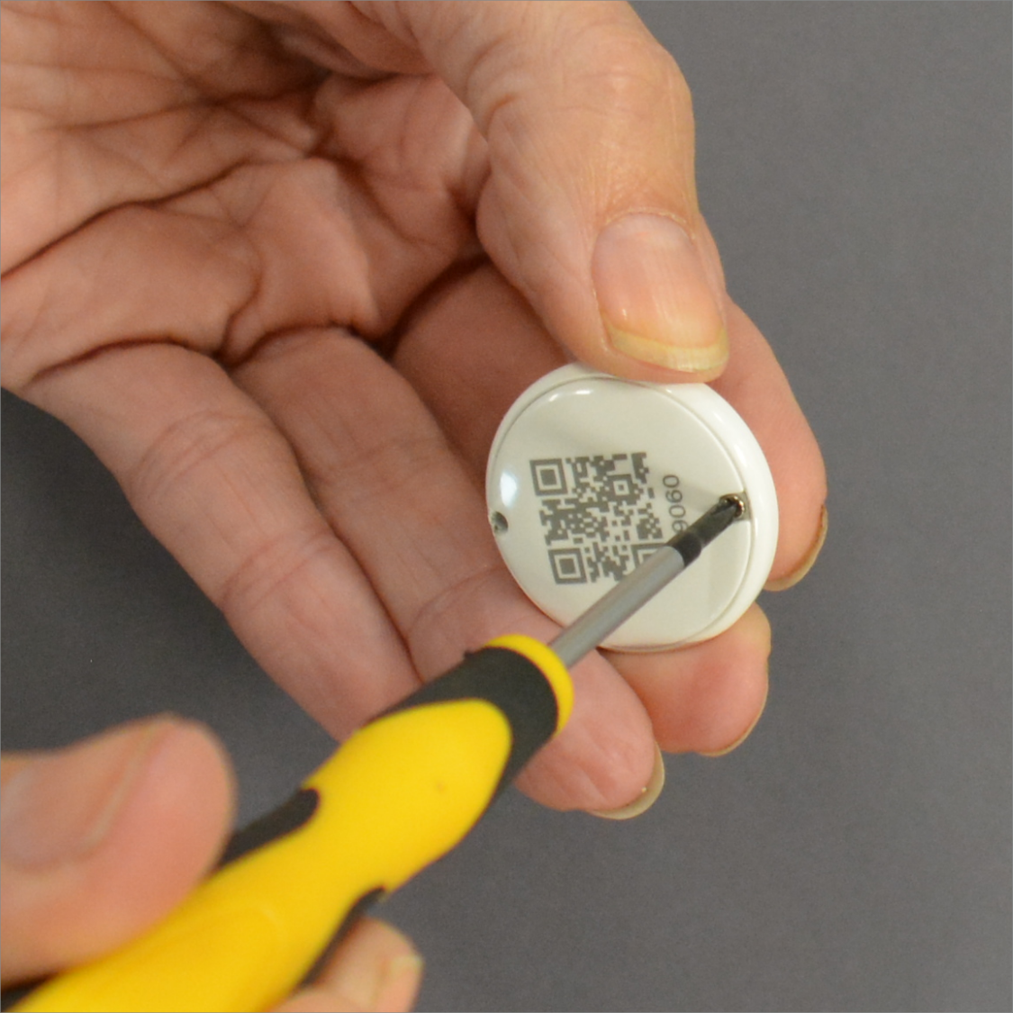 1. Bruk en liten stjerneskrutrekker til å åpne skruen og ta ut metallringen