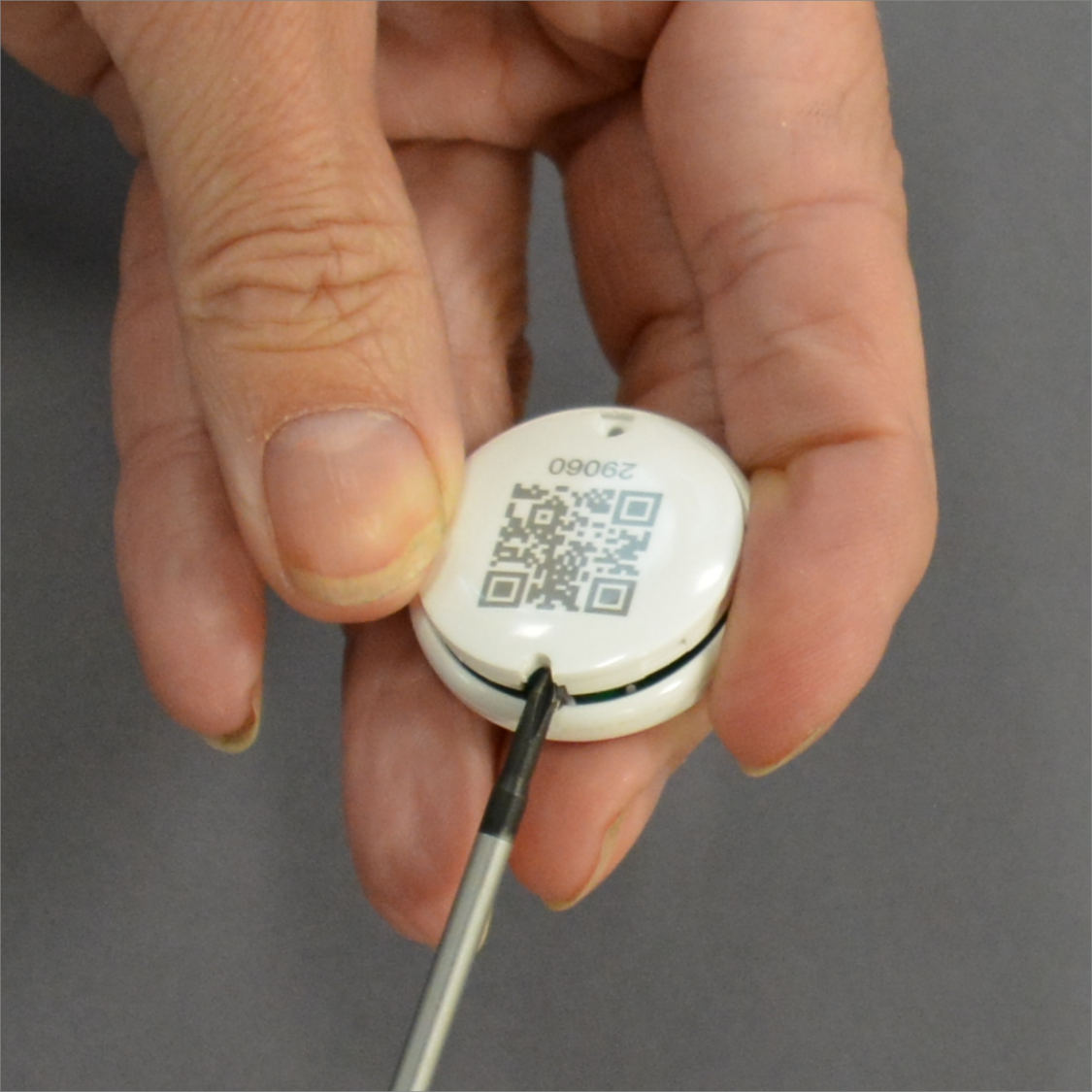 2. Bruk skrutrekkeren til å vippe av lokket i hullet der metallringen satt. Bytt batteri.