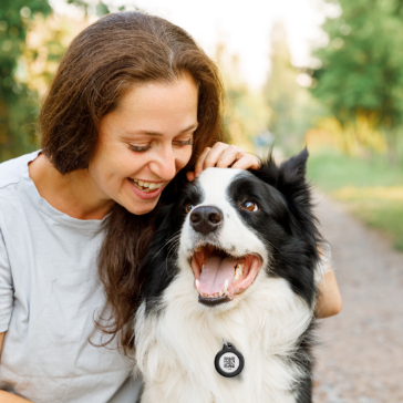 3. Fest Smart Tag på halsbåndet. God tur!