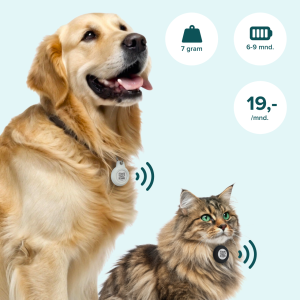 Hund og katt med smart Tag i halsbåndet