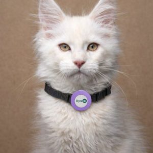 Deksel – Katt / liten hund - Lilla