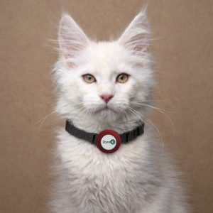 Deksel – Katt / liten hund - Rød