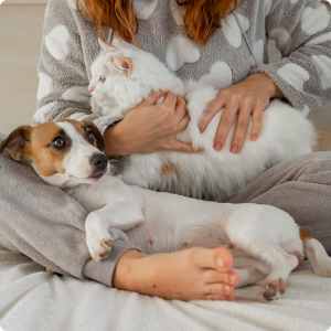 QR Premium-abonnement