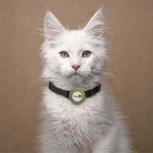 Deksel – Katt / liten hund - Lys Grønn