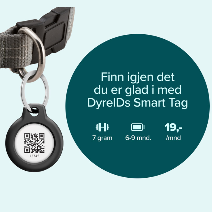 3. Fest Smart Tag der du ønsker.
