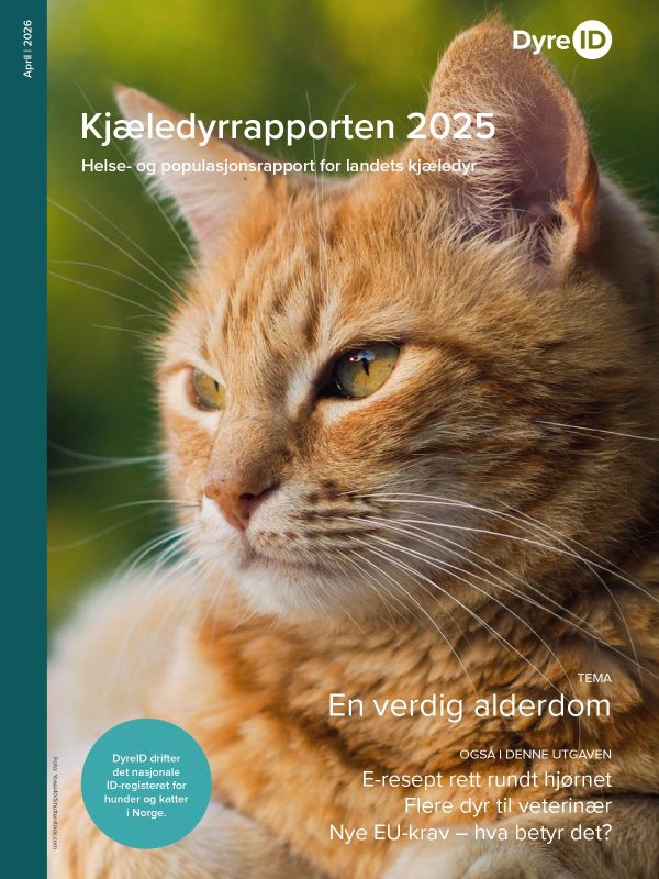 dabff6ed-ea1c-48bd-a381-3983fbb5d404